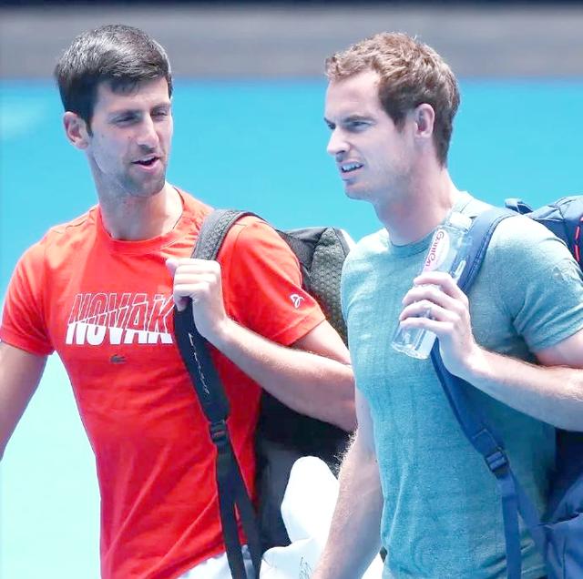 澳网完胜戴维斯杯，德约科维奇带队取胜