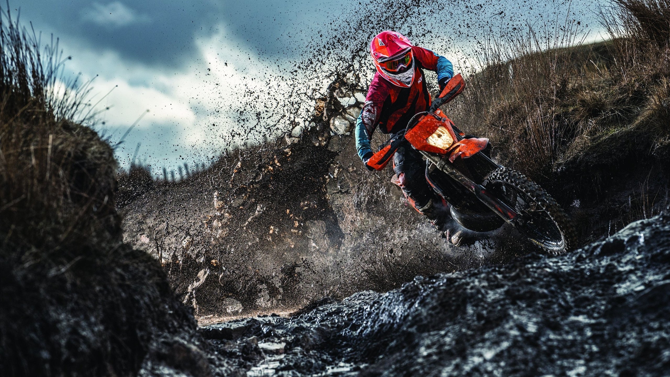 沙漠之狐与蓝鹰的黄昏，当阿圭罗成为无人可挡的破局之光